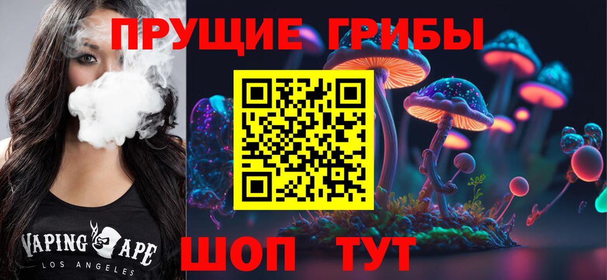 Псилоцибиновые грибы Cubensis Искитим