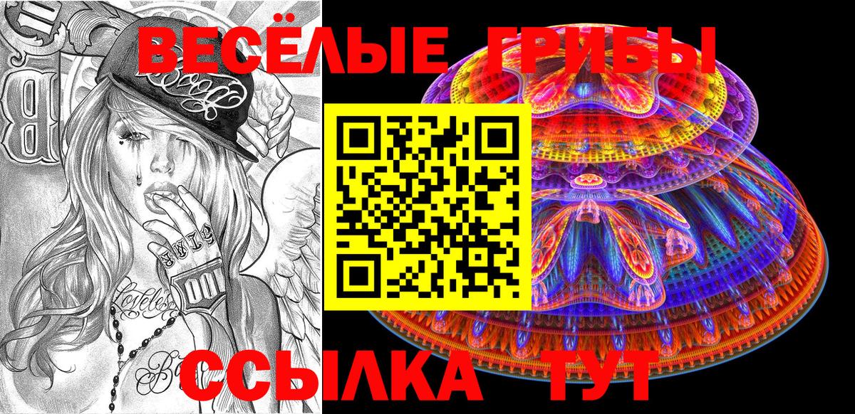 Искитим  Псилоцибиновые грибы Cubensis  Вход с VPN 